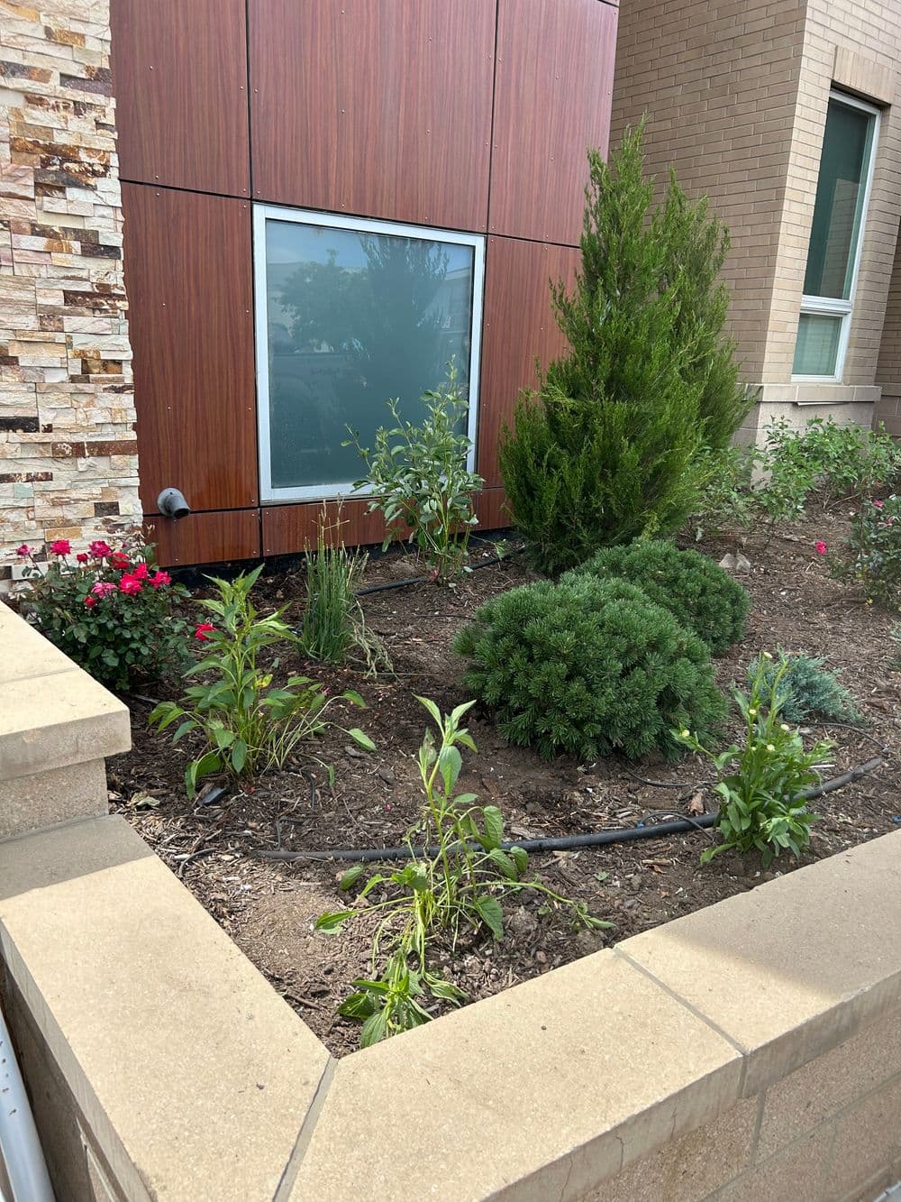 Gallery photos for Stunning Landscape Transformation in Colorado: Image #8