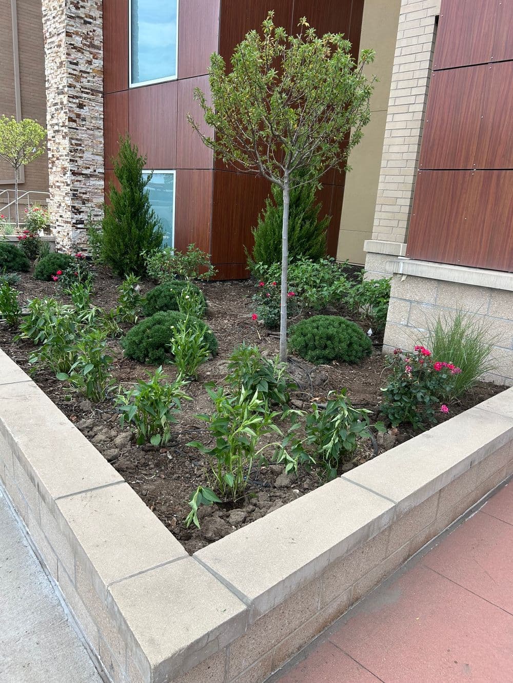 Project Stunning Landscape Transformation in Colorado image