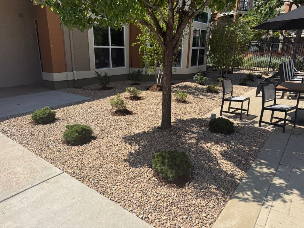 Gallery photos for Stunning Landscape Transformation in Colorado: Image #7