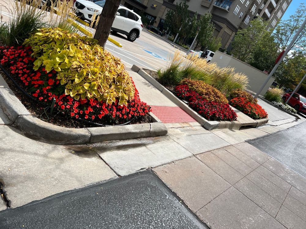 Gallery photos for Stunning Landscape Transformation in Colorado: Image #4