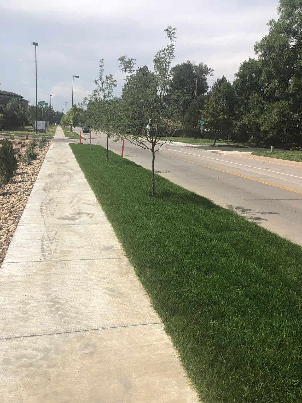 Landscape Excellence with Vibrant Floral Displays image