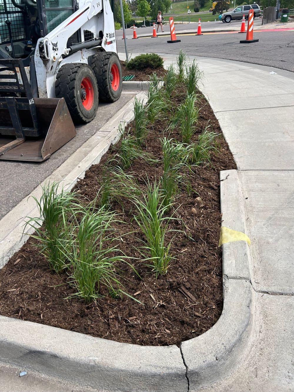 Gallery photos for Stunning Landscape Transformation in Colorado: Image #3