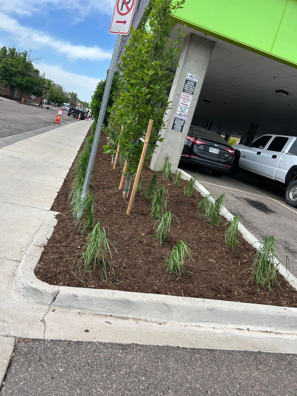 Gallery photos for Stunning Landscape Transformation in Colorado: Image #1